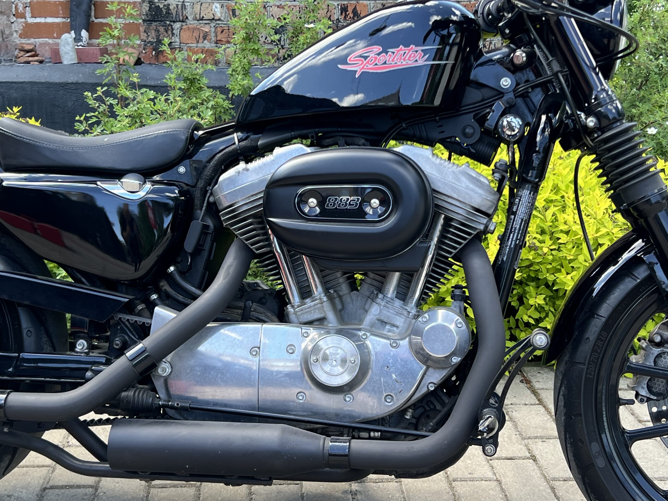 IMG_0264 Harley Davidson Sportster XL883 - Image 11