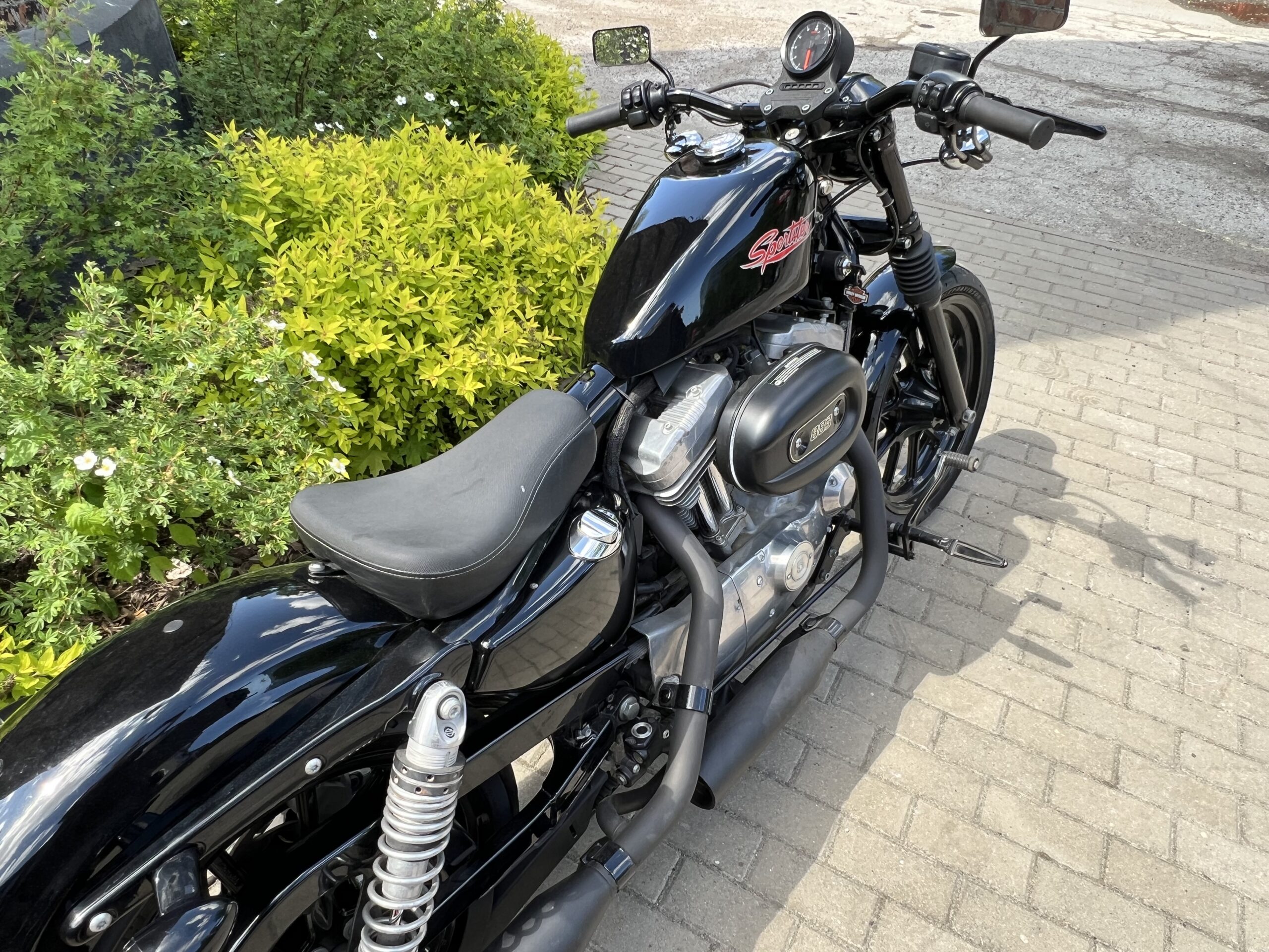 IMG_0265 Harley Davidson Sportster XL883 - Image 12